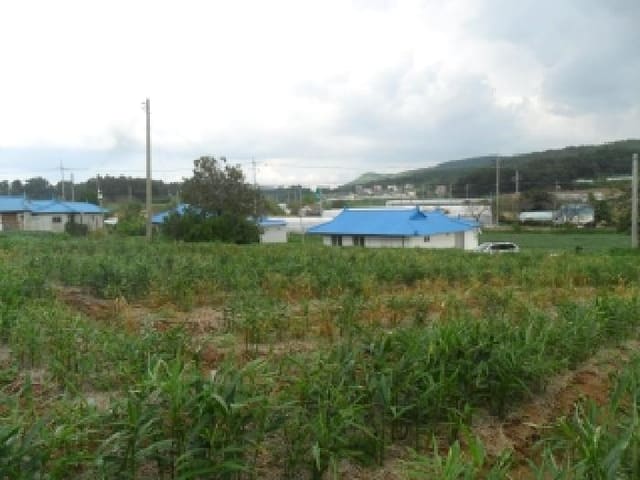 B000285202501300516762.jpg