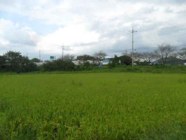 B000285202501300516761.jpg