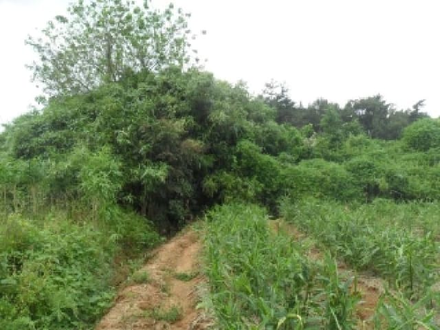 B000285202501300516764.jpg