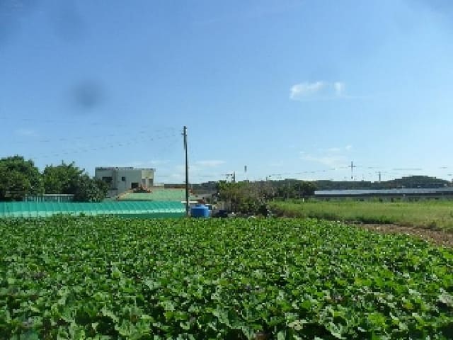 B000285202501300516771.jpg