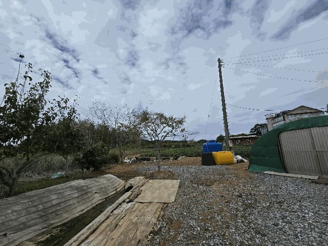 B000285202501300516773.jpg