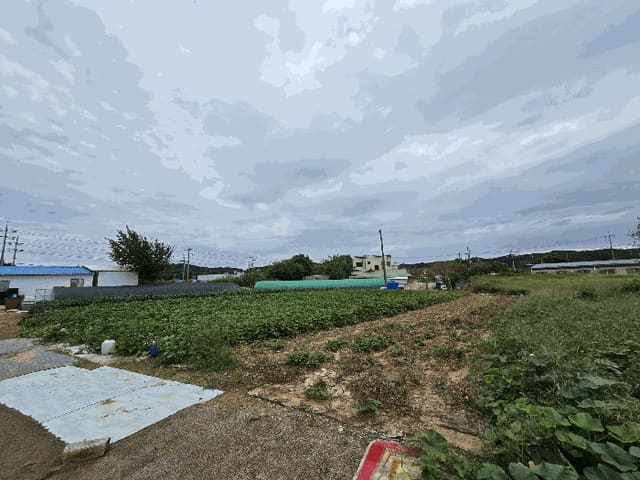 B000285202501300516774.jpg