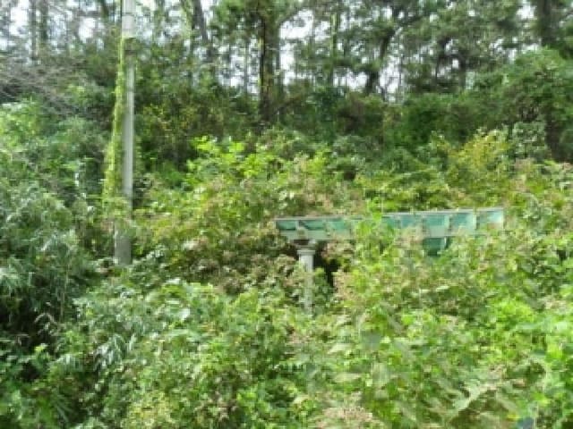 B000285202501300516913.jpg