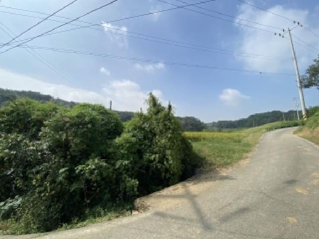 B000285202501300517322.jpg