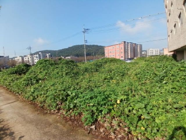 B000285202501300517501.jpg