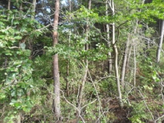 B000285202501300517641.jpg
