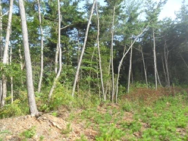 B000285202501300517642.jpg
