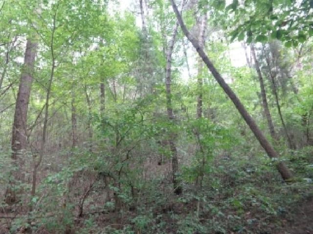 B000285202501300517644.jpg