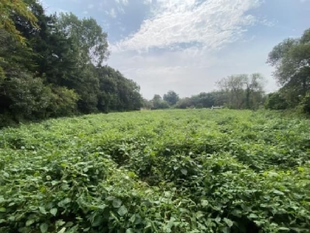 B000285202501300517713.jpg