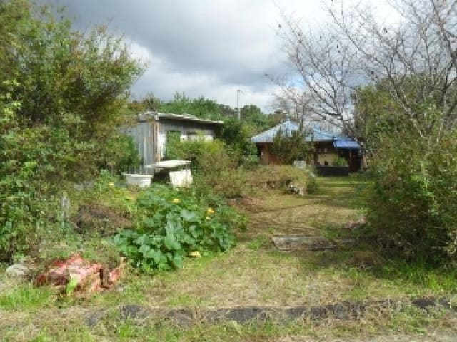 B000285202501300517813.jpg