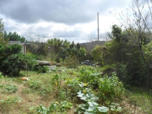 B000285202501300517811.jpg
