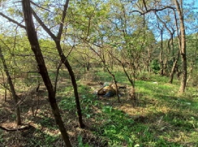 B000285202501300518173.jpg