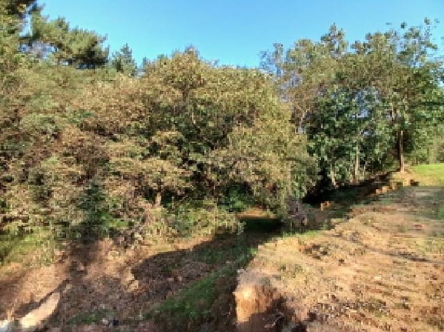 B000285202501300518174.jpg