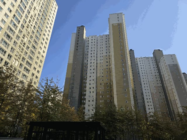 B000285202501300518194.jpg