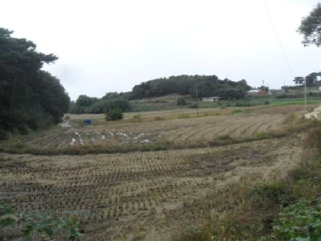 B000285202501300518411.jpg