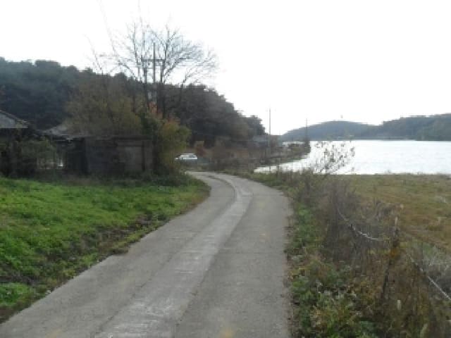 B000285202501300518842.jpg