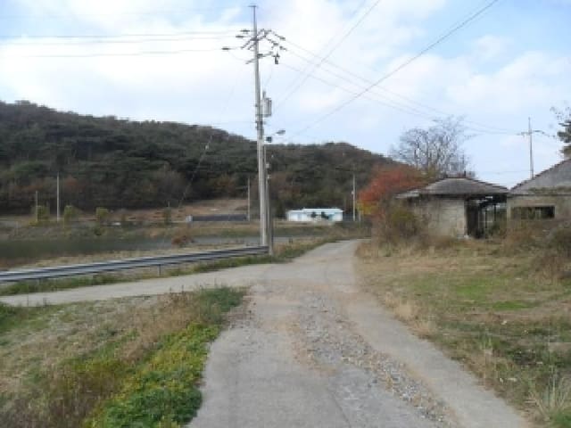 B000285202501300518841.jpg