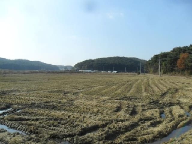 B000285202501300519024.jpg