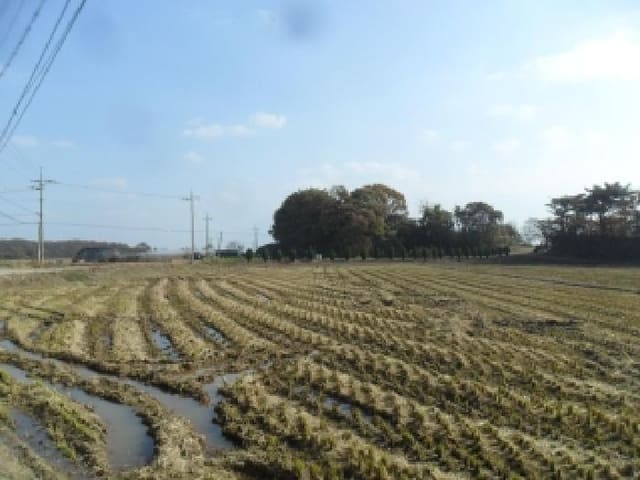 B000285202501300519023.jpg