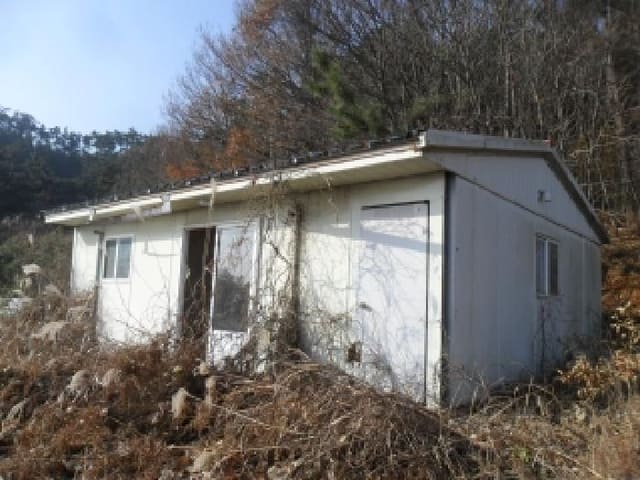 B000285202501300520182.jpg