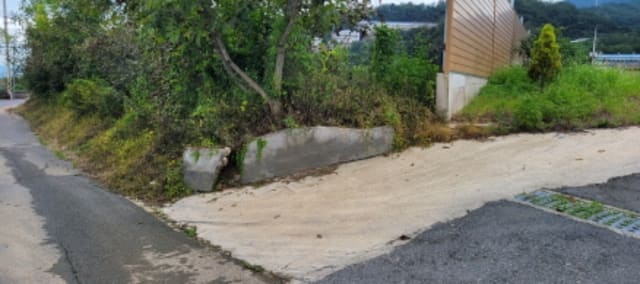 B000310202301300055644.jpg