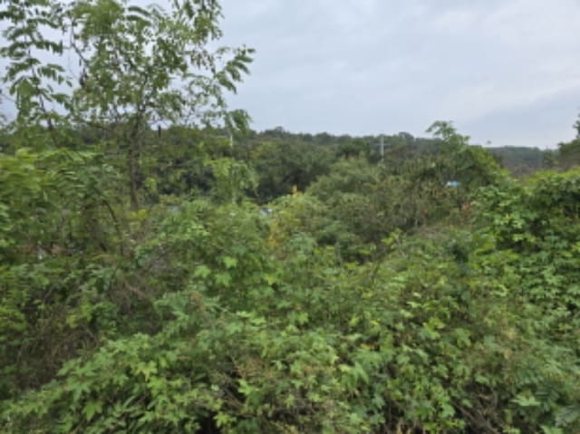 B000310202401300095942.jpg