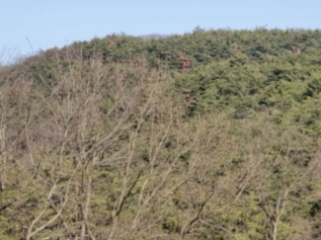 B000310202401300103343.jpg