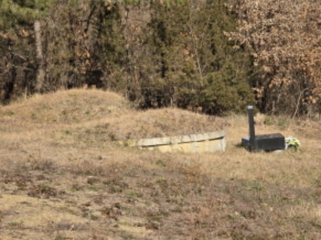 B000310202401300103342.jpg