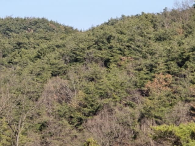 B000310202401300103344.jpg