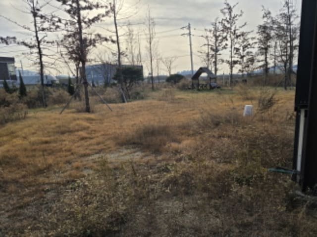 B0003102024013012554050.jpg