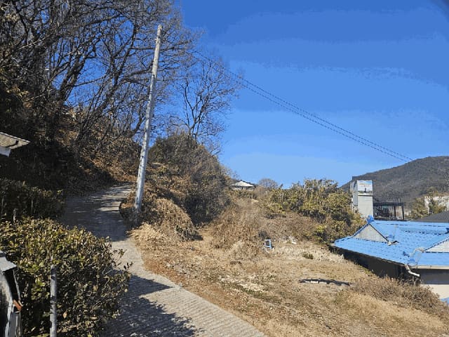 B000310202501300006014.jpg