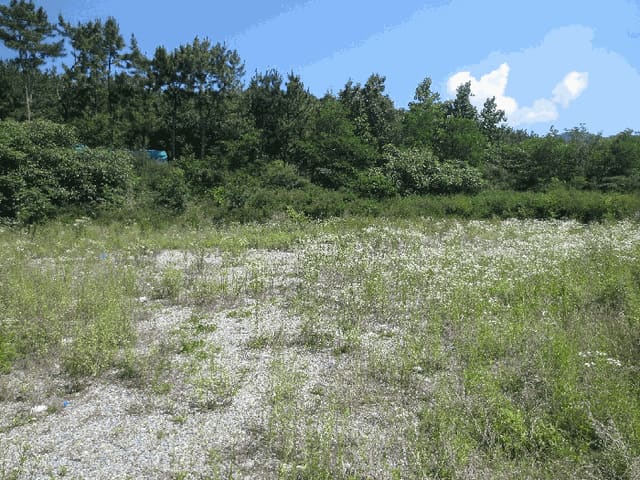 B000310202501300008034.jpg