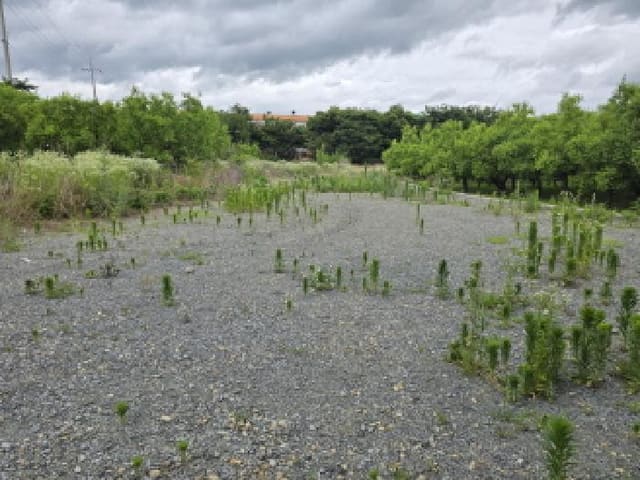 B000310202501300008104.jpg