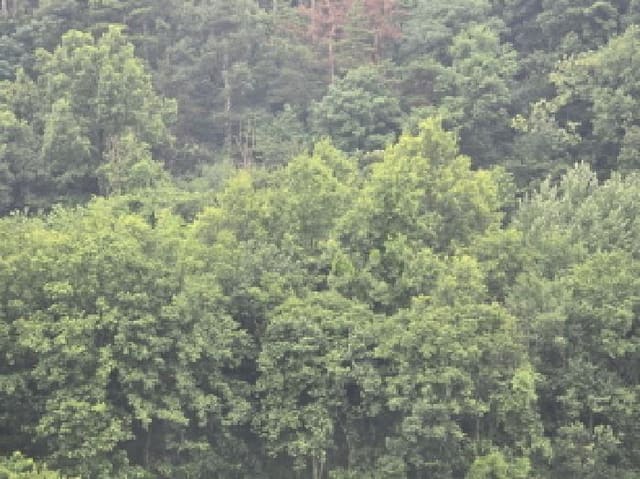 B000310202501300008903.jpg