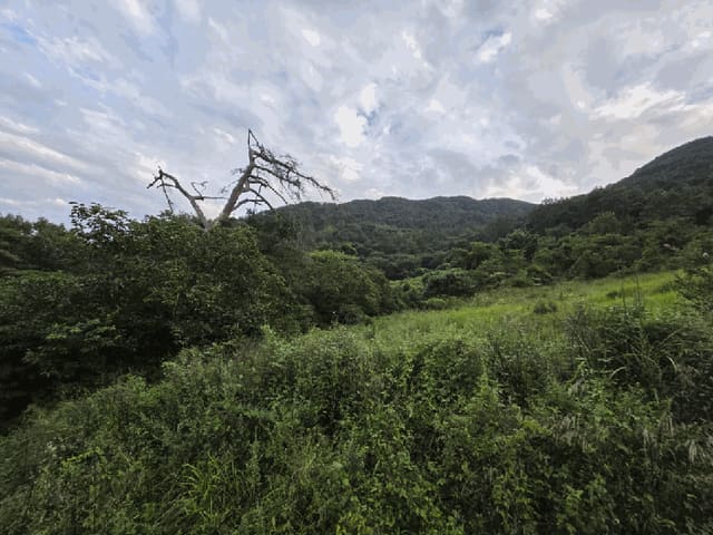 B000310202501300009564.jpg