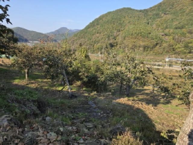 B000310202501300009561.jpg