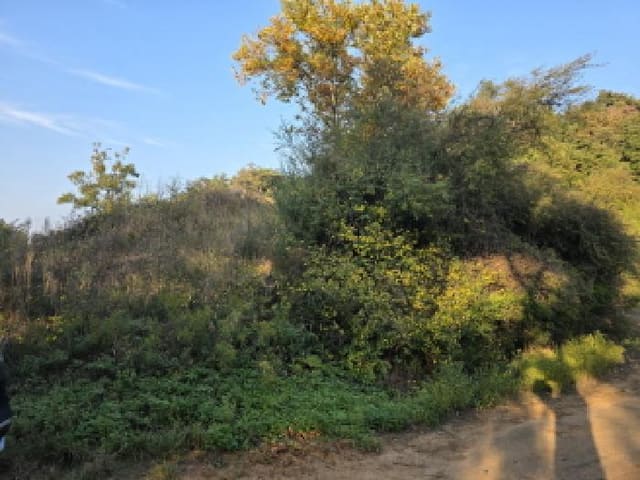 B000310202501300009671.jpg