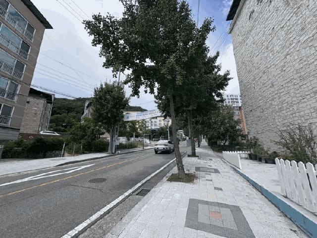 B000310202501300009734.jpg