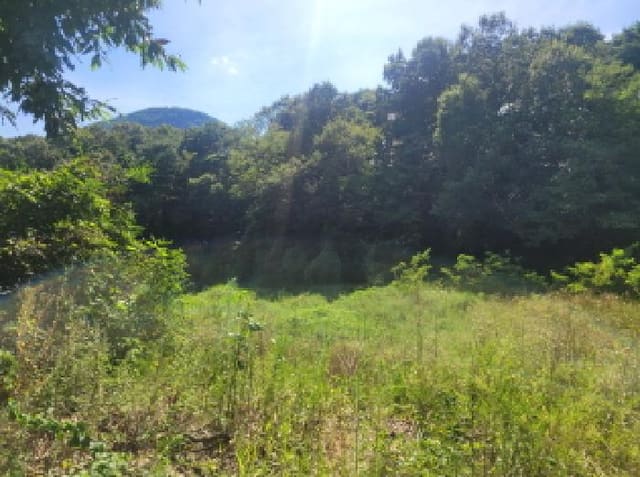 B000310202501300009952.jpg