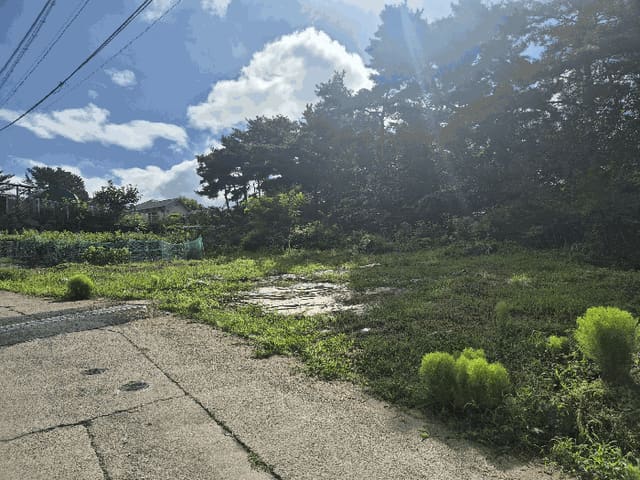 B0003102025013000100712.jpg
