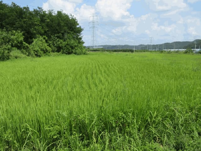 B000310202501300010184.jpg