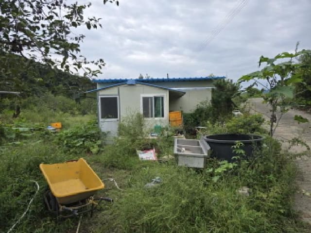 B000310202501300010462.jpg