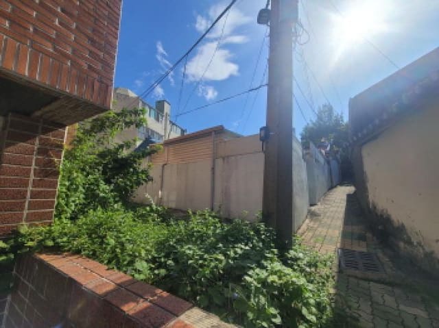 B000310202501300010602.jpg