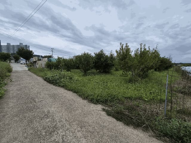B0003102025013000108227.jpg