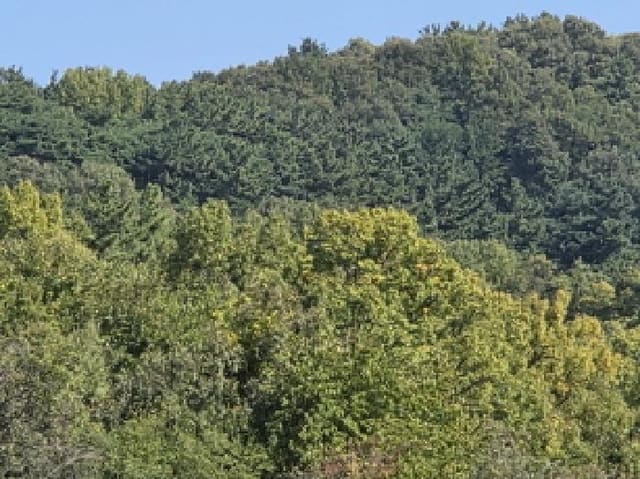 B000310202501300010851.jpg