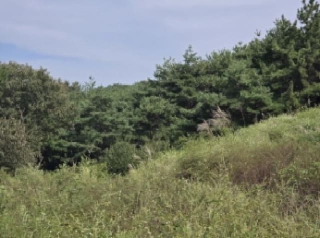B000310202501300011091.jpg