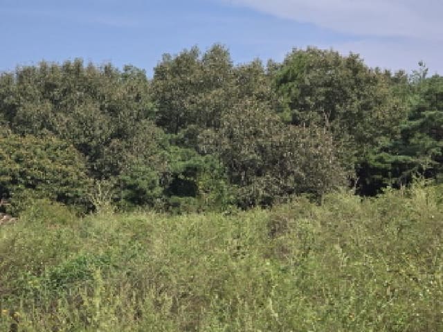 B000310202501300011092.jpg