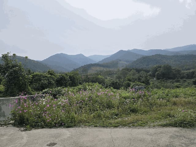 B000310202501300011423.jpg