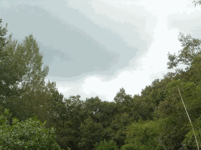 B000310202501300011454.jpg