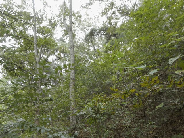 B000310202501300011453.jpg